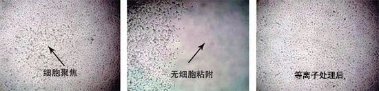 1719801182229643.jpg ecf70cc35098ef767cd1eca0b73b2e8a.jpg